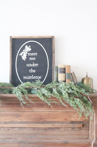 Meet Me Under The Mistletoe